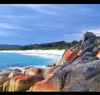 Bay of Fires Day Trip from Launceston - Rental Cars