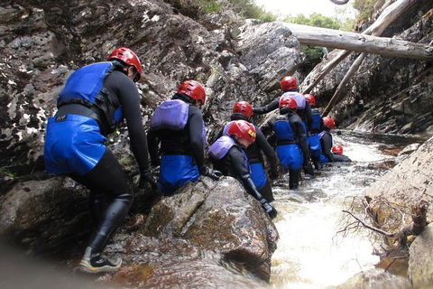 Half Day Cradle Mountain Canyoning: Lost World Canyon - Rental Cars 1