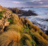 4-Day Tarkine Wilderness Photography Workshop - Rental Cars