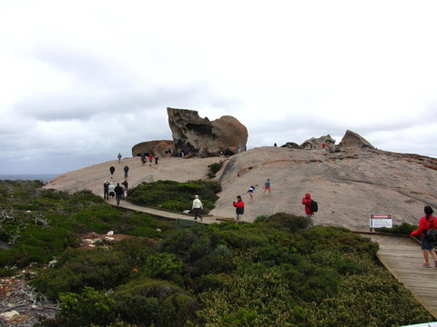 Kangaroo Island In A Day Tour From Adelaide - Rental Cars 21