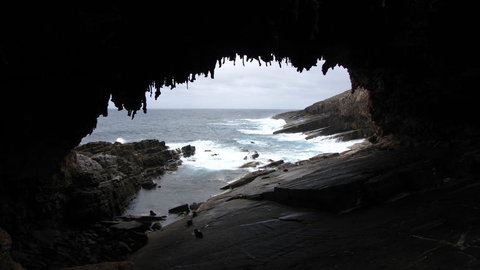 Kangaroo Island In A Day Tour From Adelaide - Rental Cars 20