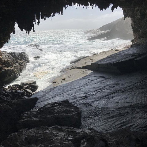 Kangaroo Island In A Day Tour From Adelaide - Rental Cars 5