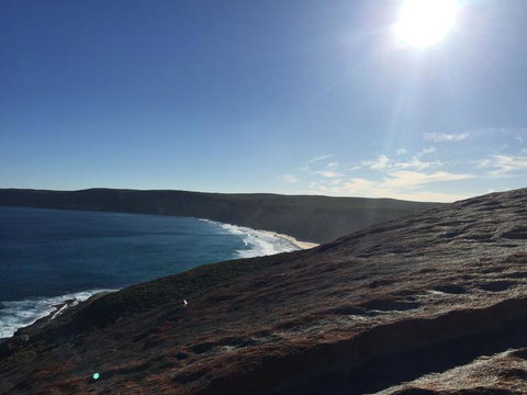 Kangaroo Island In A Day Tour From Adelaide - Rental Cars 17