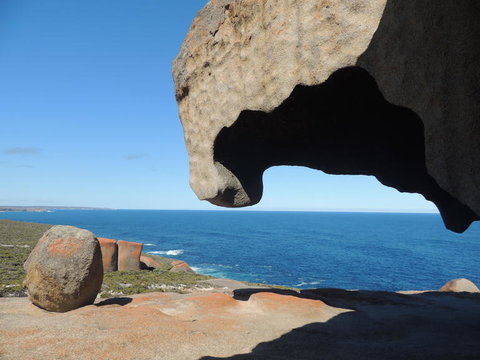 Kangaroo Island In A Day Tour From Adelaide - Rental Cars 13