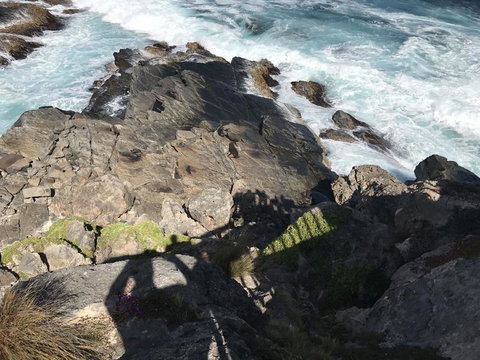 Kangaroo Island In A Day Tour From Adelaide - Rental Cars 3