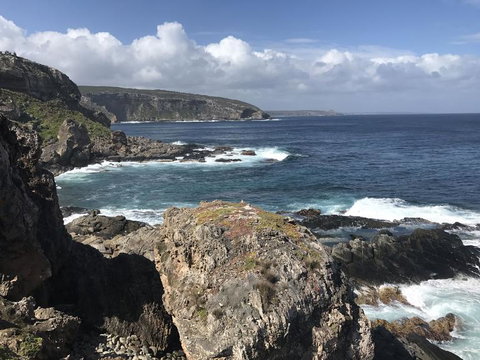 Kangaroo Island In A Day Tour From Adelaide - Rental Cars 4