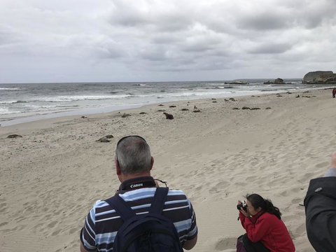 Kangaroo Island In A Day Tour From Adelaide - Rental Cars 10