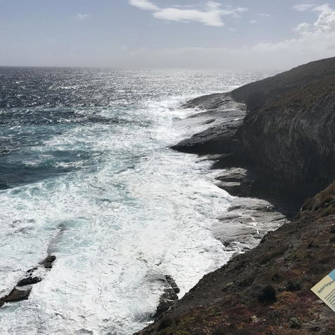 Kangaroo Island In A Day Tour From Adelaide - Rental Cars 6