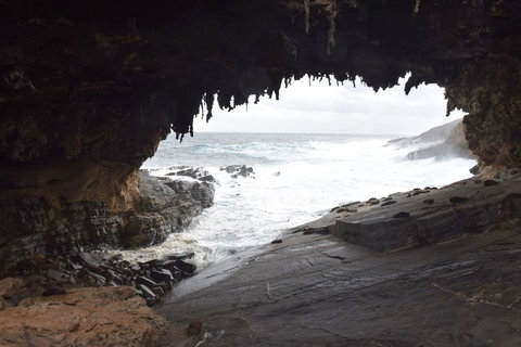 Kangaroo Island In A Day Tour From Adelaide - Rental Cars 18