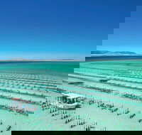 Coffin Bay Day Tour - A Taste of Coffin Bay - Rental Cars