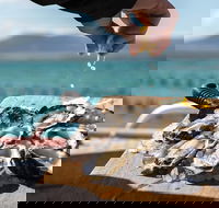 Experience Coffin Bay Oyster Farm and Bay Tour - Rental Cars