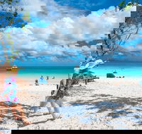 Whitehaven Beach Half-Day Cruises - Rental Cars