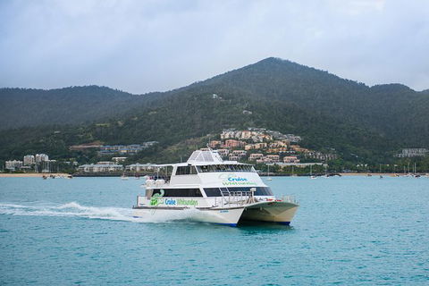 Whitsunday Islands Hopper Pass - Rental Cars 1