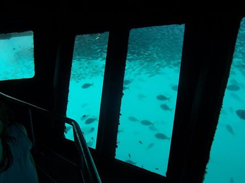 Great Barrier Reef Day Cruise To Reefworld - Rental Cars 12