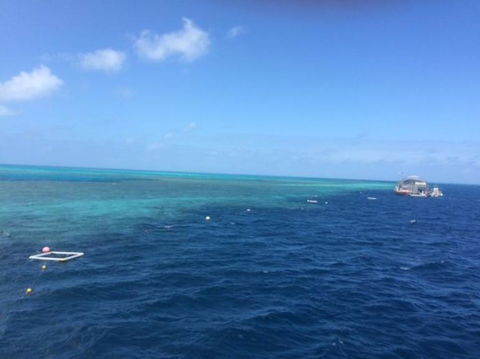 Great Barrier Reef Day Cruise To Reefworld - Rental Cars 8