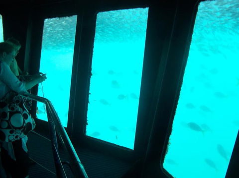 Great Barrier Reef Day Cruise To Reefworld - Rental Cars 11