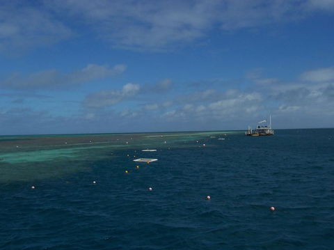 Great Barrier Reef Day Cruise To Reefworld - Rental Cars 15