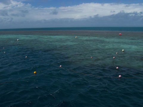 Great Barrier Reef Day Cruise To Reefworld - Rental Cars 16