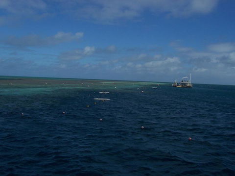Great Barrier Reef Day Cruise To Reefworld - Rental Cars 13