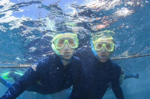 Great Barrier Reef Day Cruise To Reefworld - Rental Cars 3