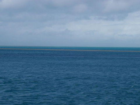 Great Barrier Reef Day Cruise To Reefworld - Rental Cars 21