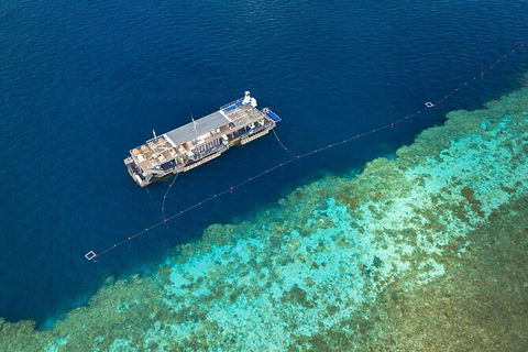 Great Barrier Reef Day Cruise To Reefworld - Rental Cars 24