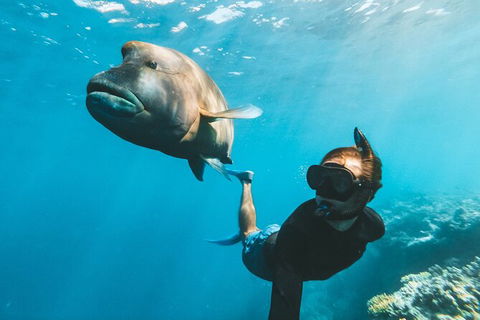Great Barrier Reef Day Cruise To Reefworld - Rental Cars 25