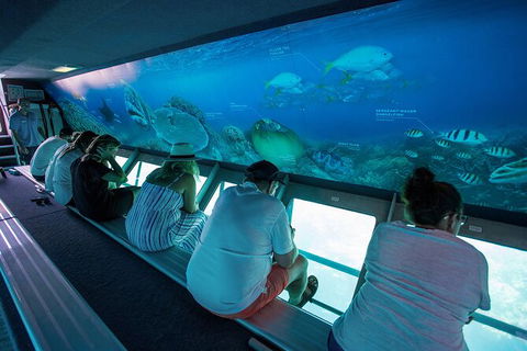 Great Barrier Reef Day Cruise To Reefworld - Rental Cars 28