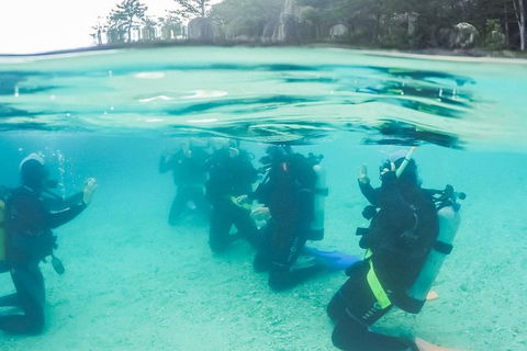 3 Day Whitsundays Sailing And Diving Adventure: Kiana - Rental Cars 12