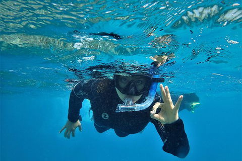 3 Day Whitsundays Sailing And Diving Adventure: Kiana - Rental Cars 11