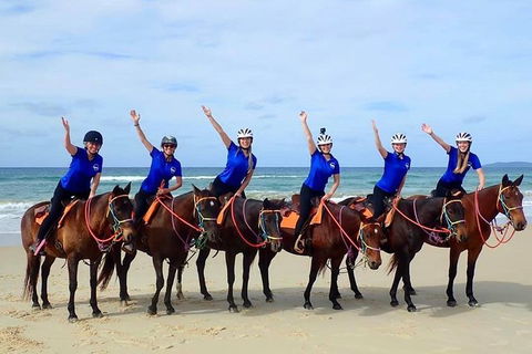 Rainbow Beach Horse Ride - Rental Cars 4