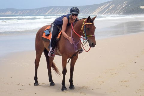 Rainbow Beach Horse Ride - Rental Cars 2