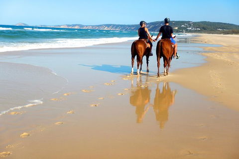 Rainbow Beach Horse Ride - Rental Cars 3