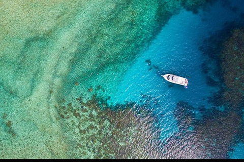 Great Barrier Reef Dive And Snorkel Cruise From Mission Beach - Rental Cars 3