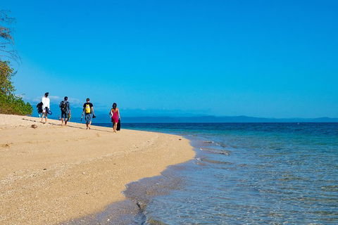 Half Day Low Isles Snorkelling Tour From Port Douglas - Rental Cars 3