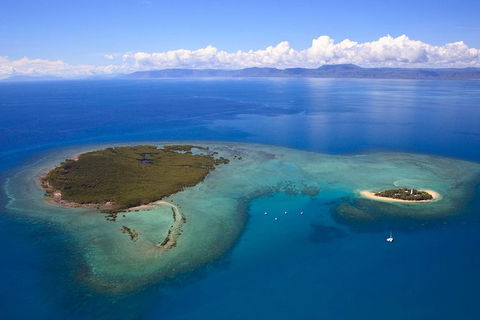 Half Day Low Isles Snorkelling Tour From Port Douglas - Rental Cars 4