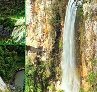 Rainforest  Waterfalls Extravaganza