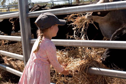Mackay Farm Food And Flavours Tour - Rental Cars 0