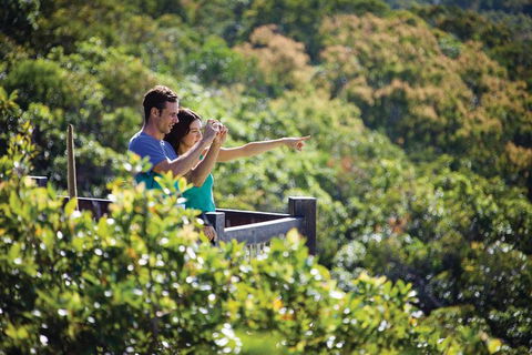 Conway National Park Coral Beach Walk Including Shute Harbour From Airlie Beach - Rental Cars 0