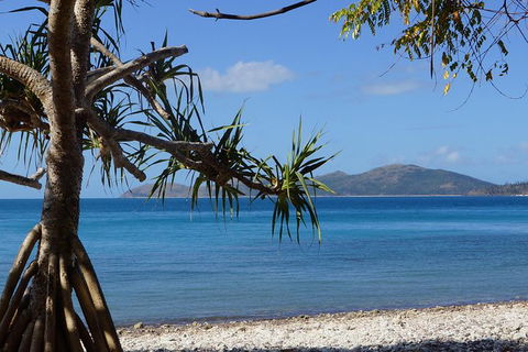 Conway National Park Coral Beach Walk Including Shute Harbour From Airlie Beach - Rental Cars 1