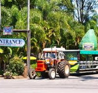 Tropical Fruit World with Wildlife Boat Cruise from Gold Coast