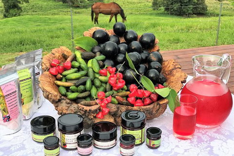 Atherton Tablelands Small-Group Food & Wine Tasting Tour From Port Douglas - Rental Cars 12