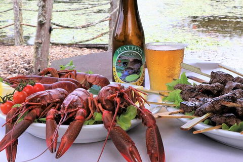 Atherton Tablelands Small-Group Food & Wine Tasting Tour From Port Douglas - Rental Cars 15