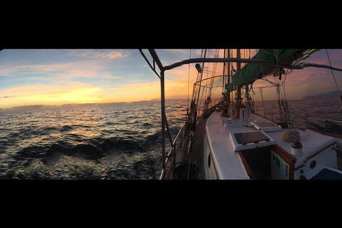 Whitsundays Sunset Sailing Cruise - Rental Cars 3