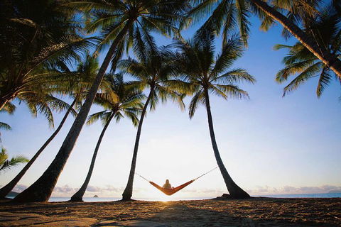 Port Douglas And Hartley's Crocodile Adventure Day Trip From Cairns - Rental Cars 0