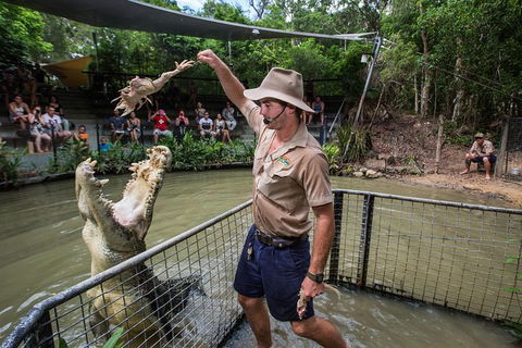 Port Douglas And Hartley's Crocodile Adventure Day Trip From Cairns - Rental Cars 1
