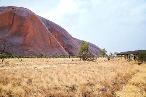 Uluru Sunrise And Guided Base Walk - Rental Cars 6