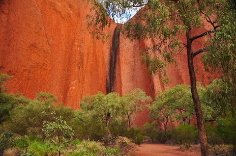 Uluru Sunrise And Guided Base Walk - Rental Cars 14