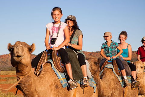 Alice Springs Camel Tour - Rental Cars 0
