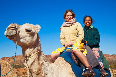 Alice Springs Camel Tour - Rental Cars 8